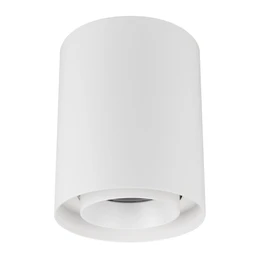 Фото #1 товара Светильник SP-FOCUS-R132-24W Day4000 (WH, 15 deg, 230V) (Arlight, IP54 Металл, 5 лет)