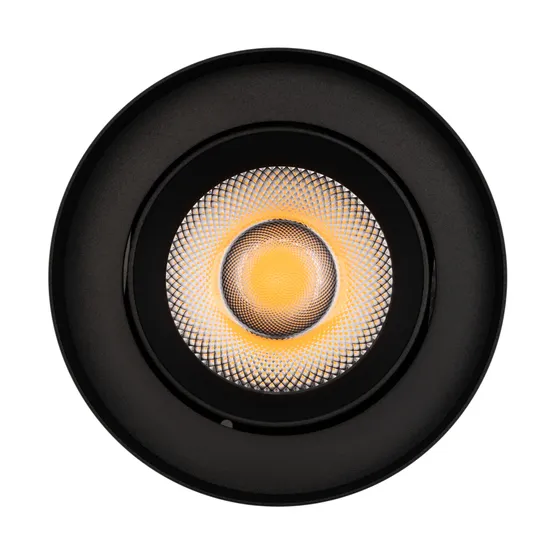Фото #3 товара Светильник SP-FOCUS-R132-24W Warm3000 (BK, 36 deg, 230V) (Arlight, IP54 Металл, 5 лет)