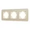 Минифото #1 товара Рамка стеклянная FRM-OMALI-SFGS-3-GD (Arlight, -)