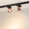 Минифото #2 товара Светильник SP-PLURIO-TRACK-4TR-R77-9W Warm3000 (BK-COP, 36 deg, 230V) (Arlight, IP20 Металл, 3 года)