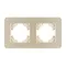 Минифото #2 товара Рамка стеклянная FRM-OMALI-SFGS-2-GD (Arlight, -)