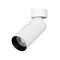 Минифото #1 товара Светильник SP-GABI-SURFACE-FLAP-R50-9W Day4000 (WH, 36 deg, 230V) (Arlight, IP40 Металл, 5 лет)