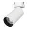 Минифото #1 товара Светильник SP-GABI-BUILT-FLAP-R60-12W Day4000 (WH, 36 deg, 230V) (Arlight, IP40 Металл, 5 лет)