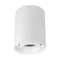 Минифото #1 товара Светильник SP-FOCUS-R110-18W Day4000 (WH, 24 deg, 230V) (Arlight, IP54 Металл, 5 лет)
