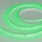 Минифото #1 товара Светодиодная лента RT-A120-8mm 24V Green(9.6 W/m, IP20, 2835, 5m) (Arlight, Открытый)