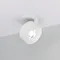 Минифото #1 товара Светильник SP-PLURIO-BUILT-R77-9W Day4000 (WH-WH, 36 deg, 230V) (Arlight, IP20 Металл, 3 года)