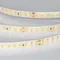 Минифото #3 товара Светодиодная лента герметичная RTW-SE-A160-8mm 24V Warm3000 (12 W/m, IP65, 5m) (Arlight, 12 Вт/м, IP65)