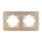 Минифото #3 товара Рамка алюминиевая FRM-AKIRY-AL-2-GD (Arlight, -)